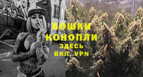 ГАЛЛЮЦИНОГЕННЫЕ ГРИБЫ Богородицк
