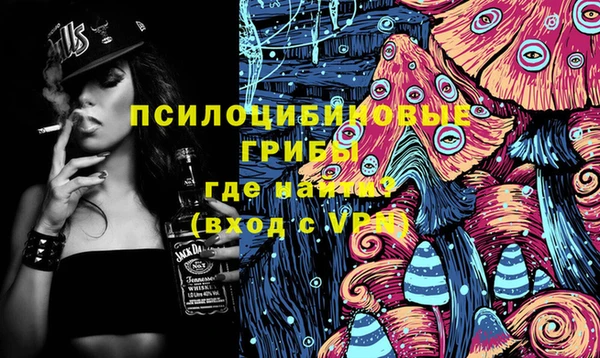 ГАЛЛЮЦИНОГЕННЫЕ ГРИБЫ Богородицк